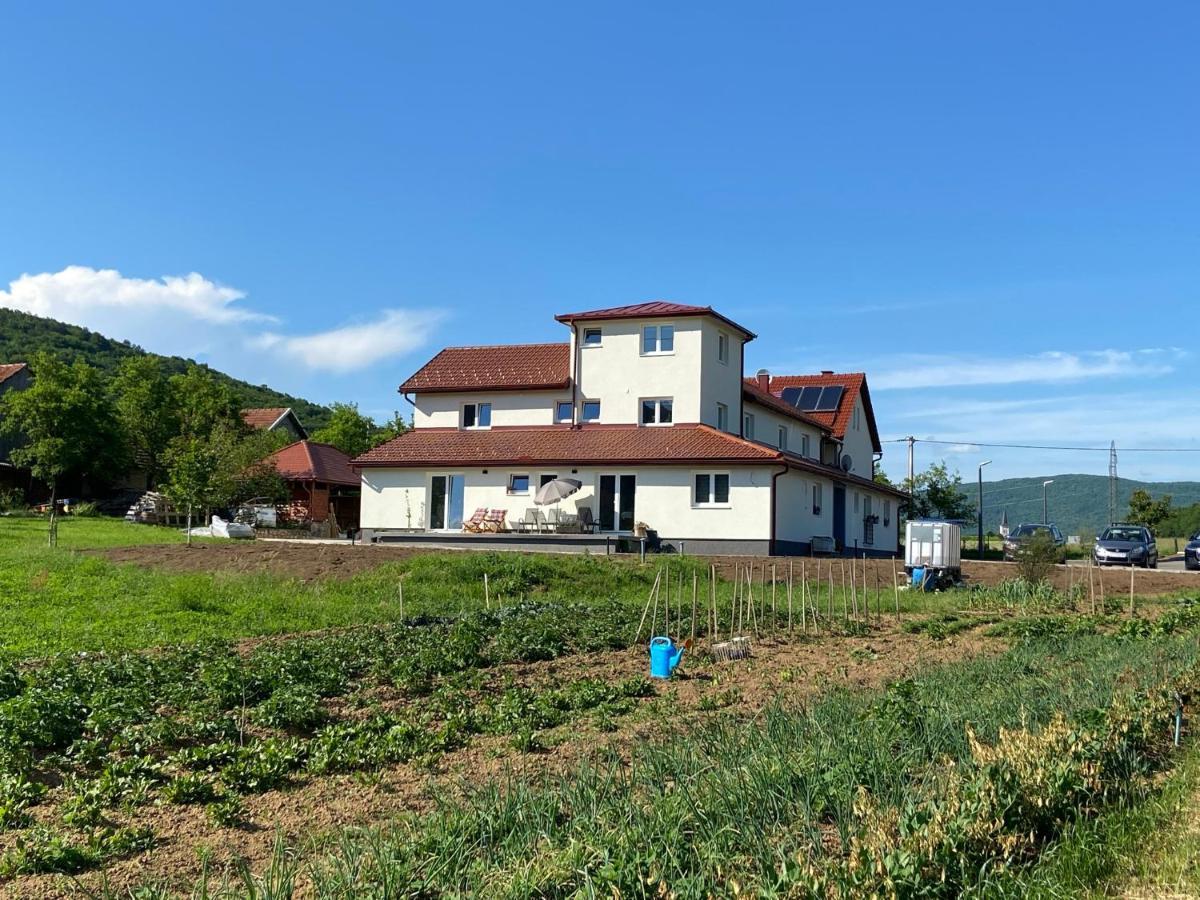 אוטוצאץ Apartman Fenestra S Terasom I Pogledom Na Gacku מראה חיצוני תמונה
